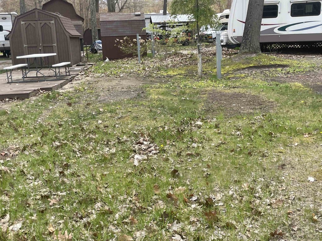 Picture 12