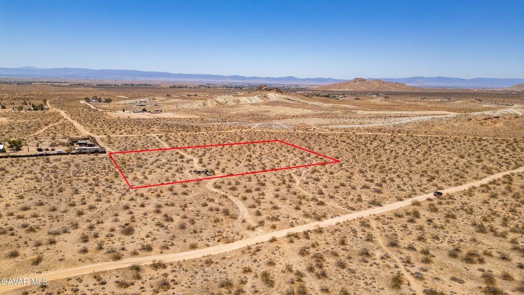 Picture 7