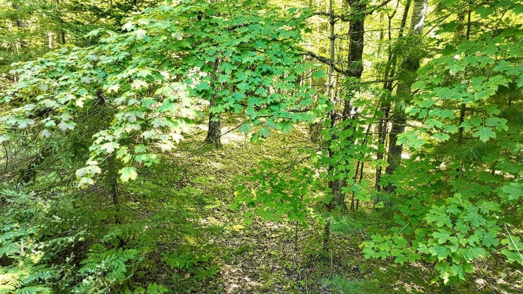 Picture 20