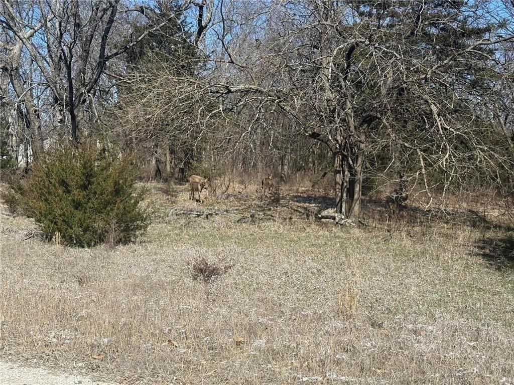 Picture 3