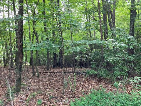 Buildable Lot in Ranger Area