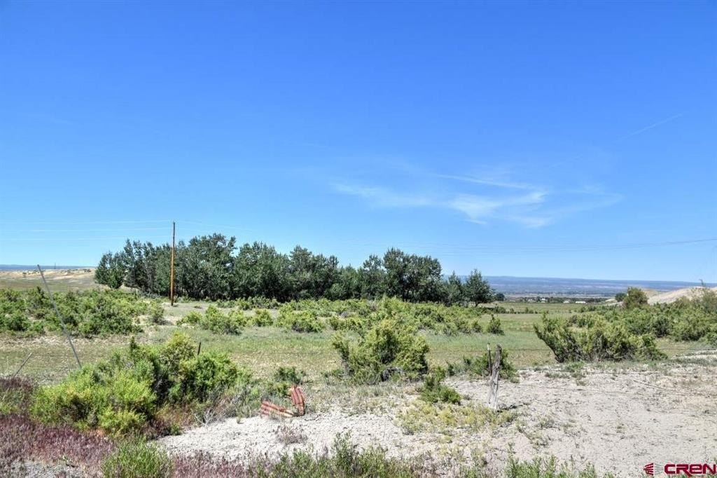 Picture 15