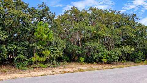 Land, OCKLAWAHA, FL