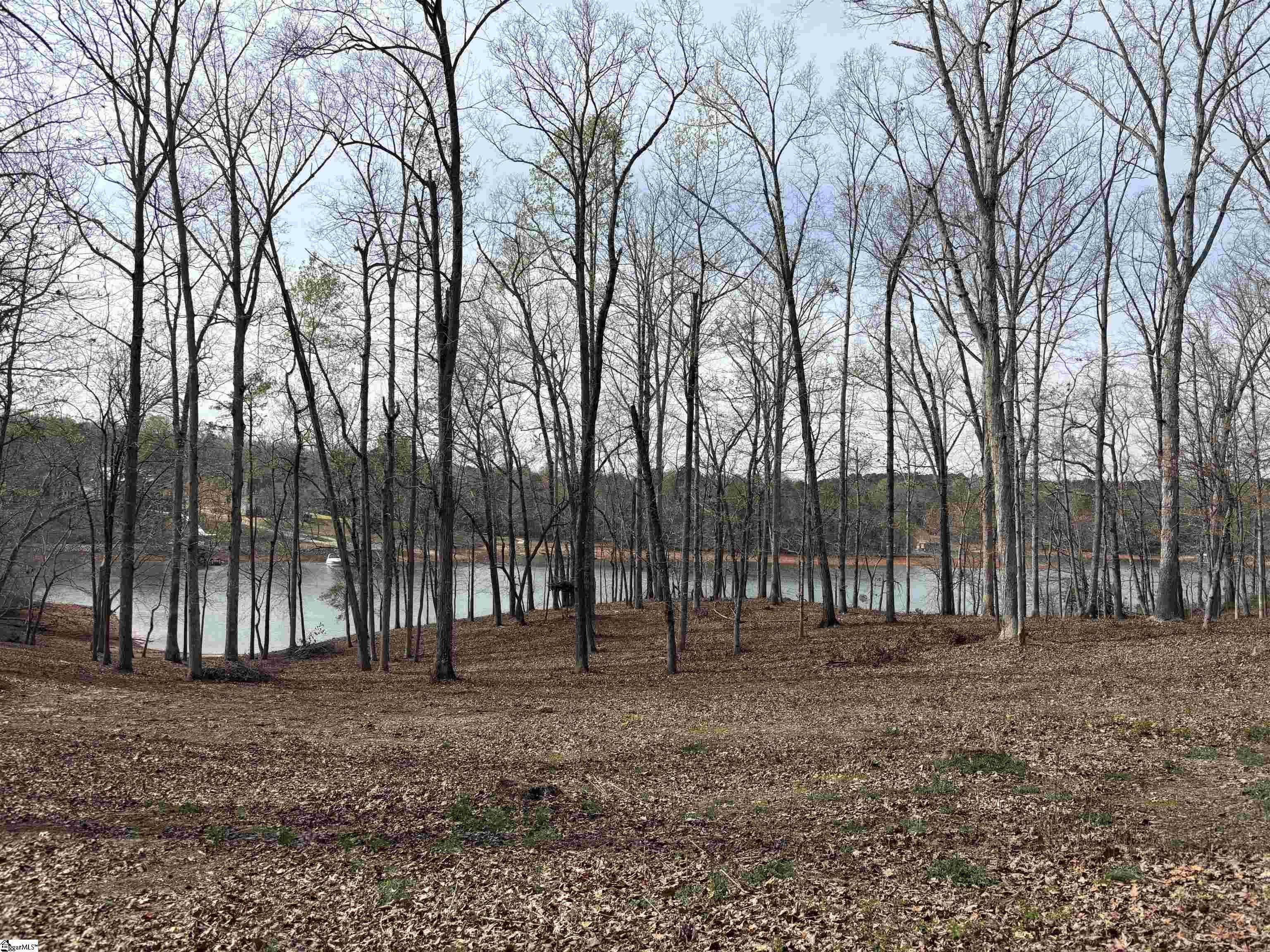 Lake Hartwell Waterfront Homesite