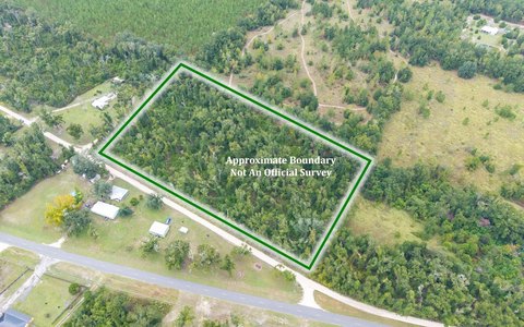 Vacant Land, Dowling Park, FL