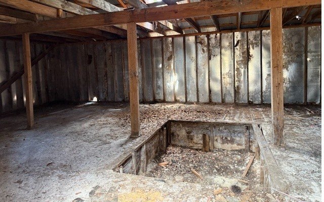 Picture 17