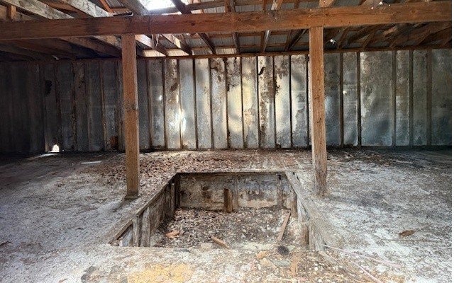 Picture 6