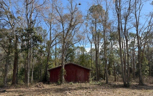 Picture 11