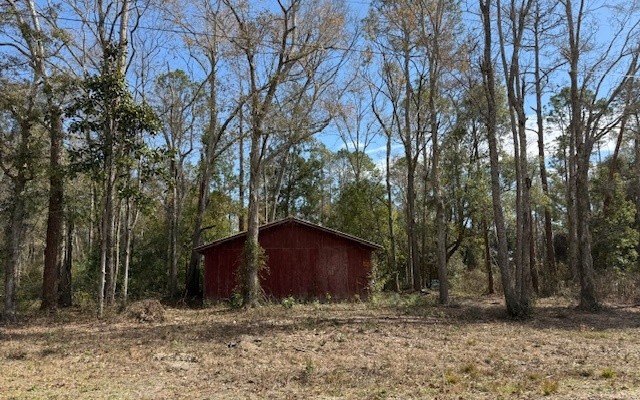 Picture 13