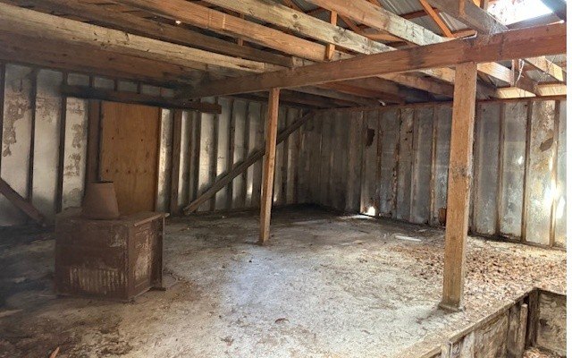 Picture 19