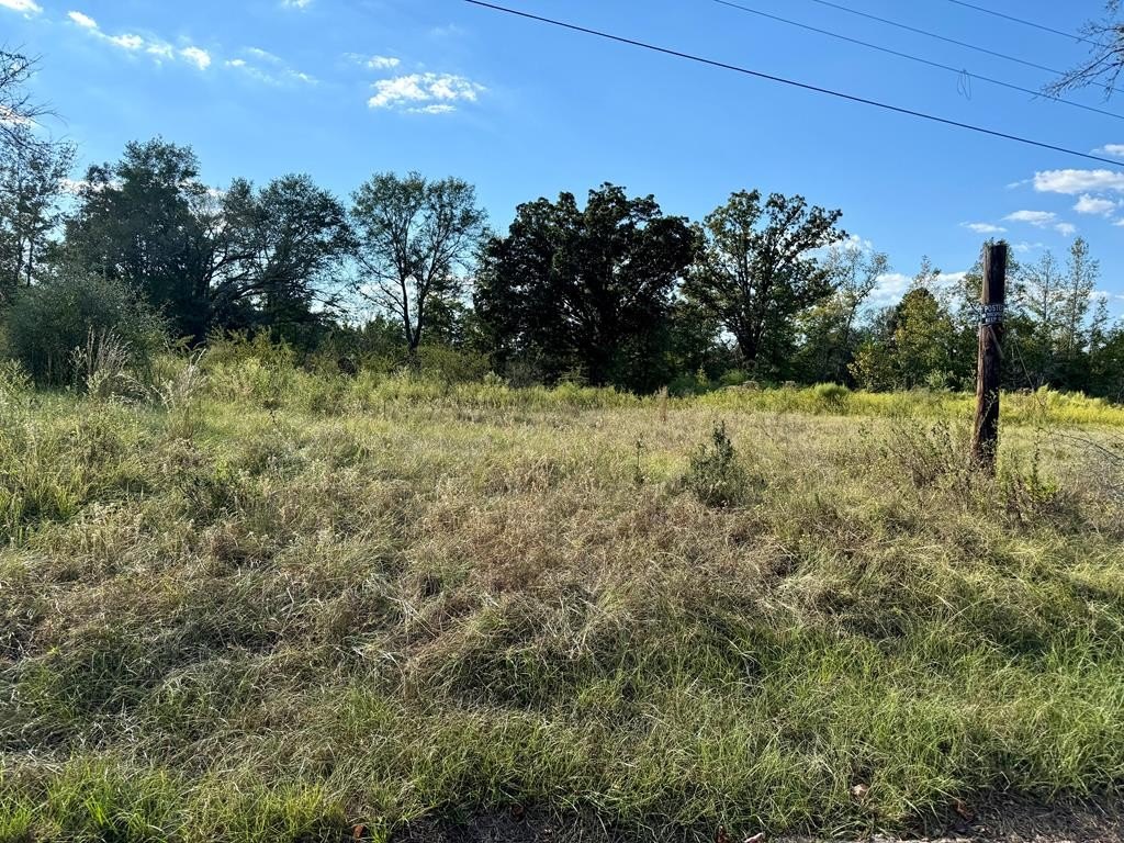 22+ Acre Palestine Land Parcel