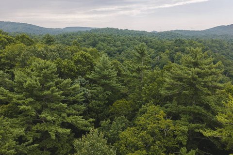 Land, Marion, NC