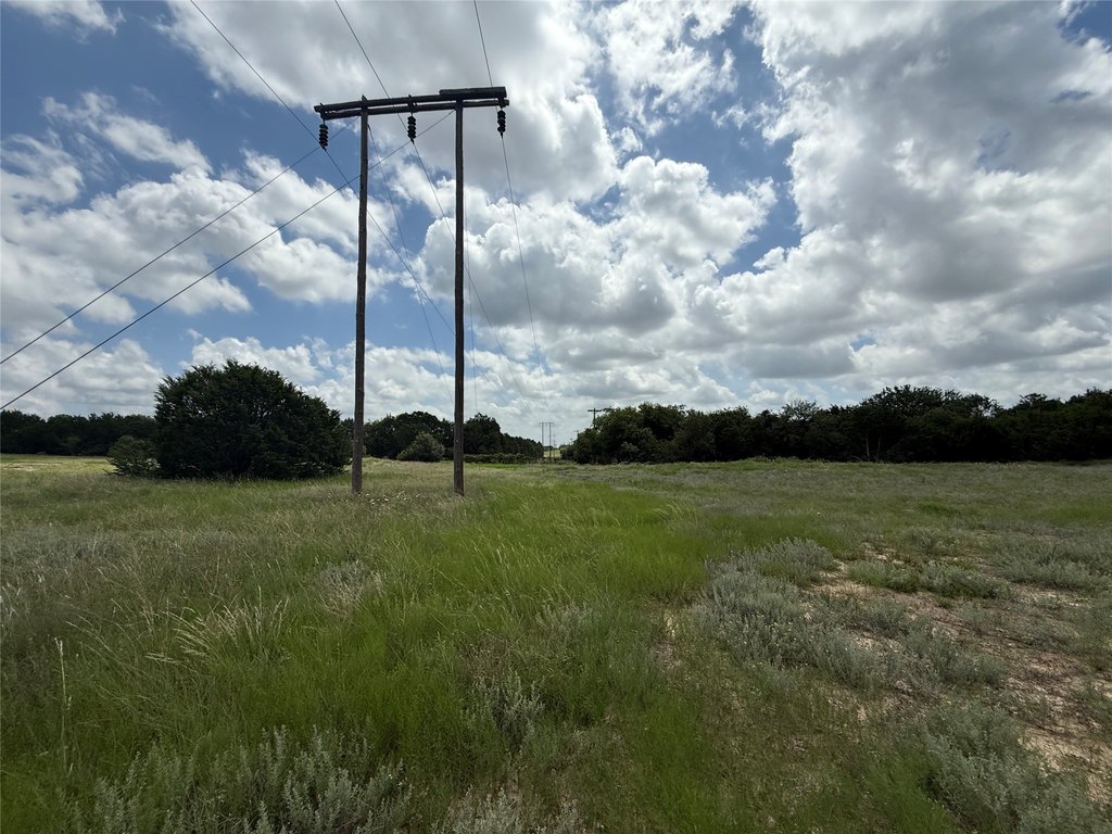 Picture 3