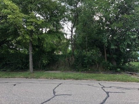 Residential Land Near Woodward Corridor