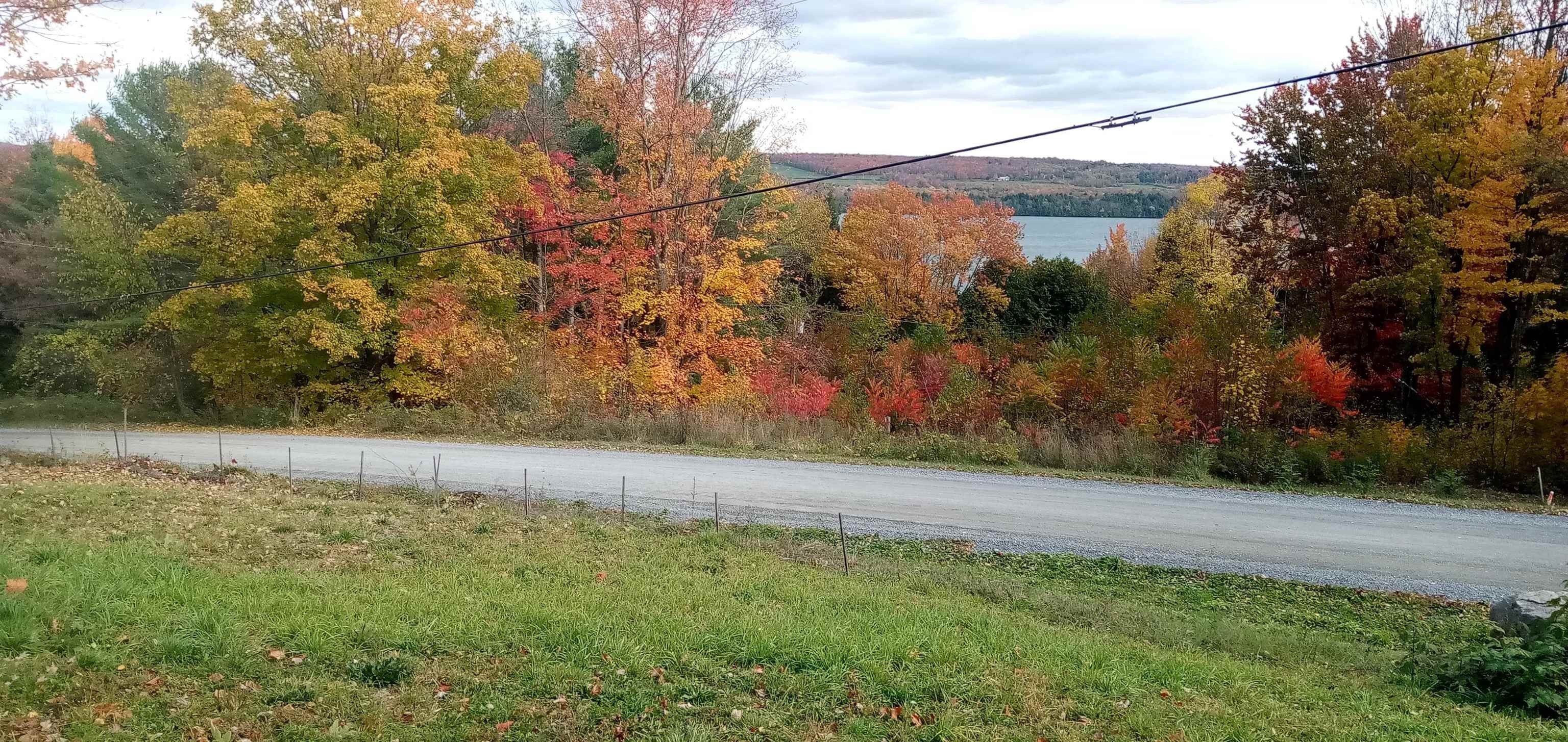 Cleared Lot Overlooking Lake Carmi