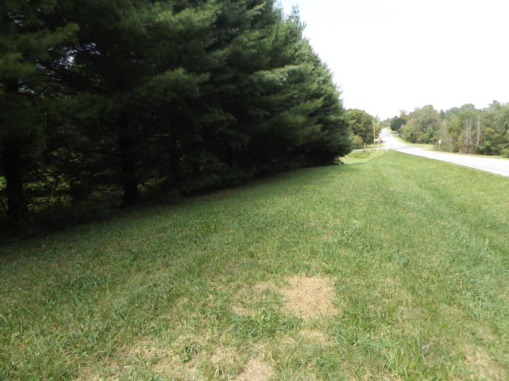 Picture 2