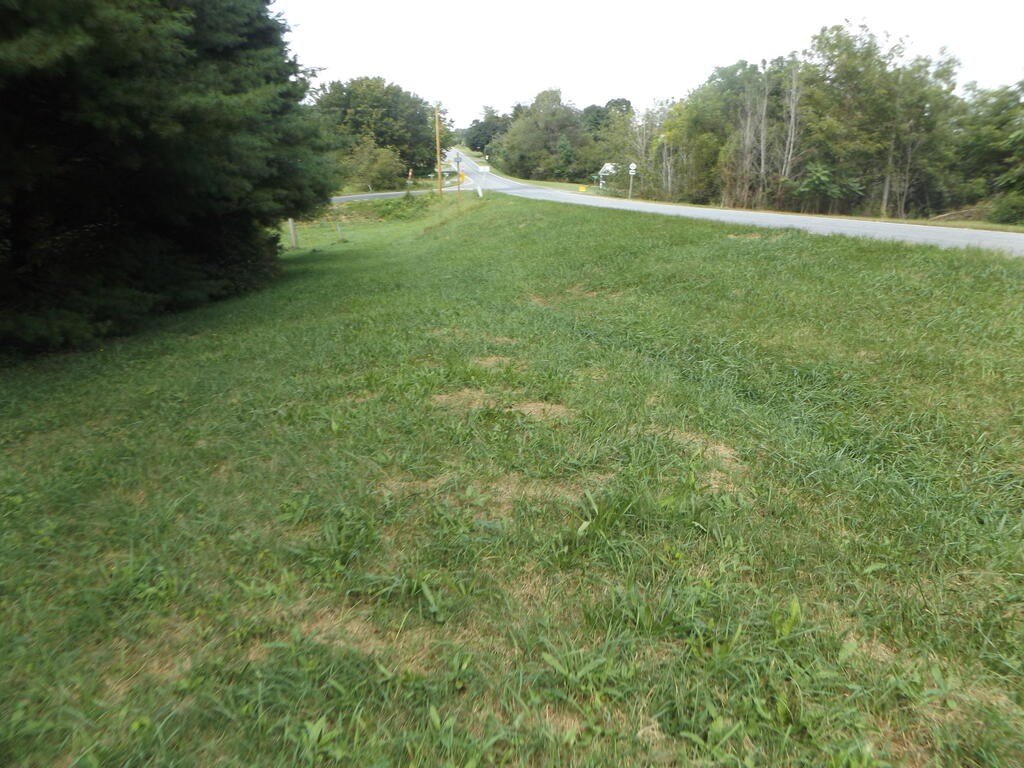 Picture 3
