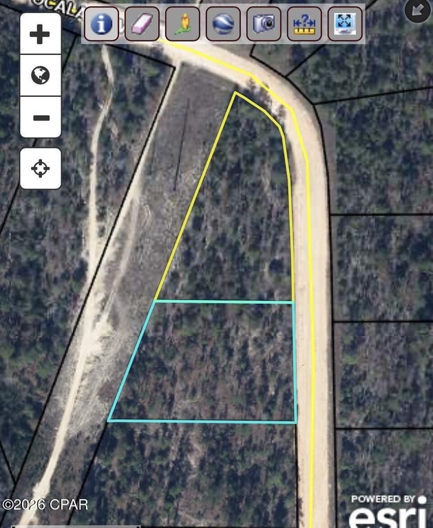 Picture 5