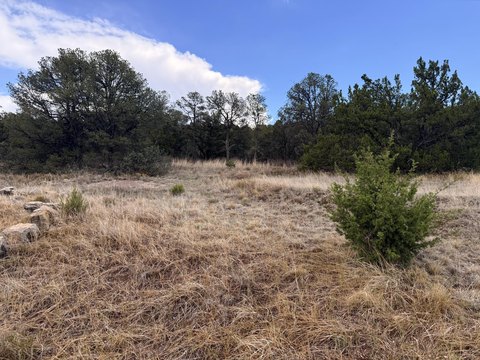 LAND - Edgewood, NM