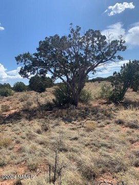 Land in Williams, Arizona