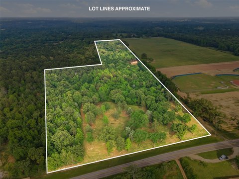 Timbered Hunting Land Tract