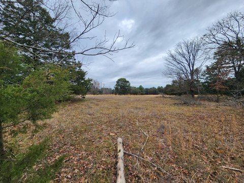 20-Acre Hunting and Farm Tract