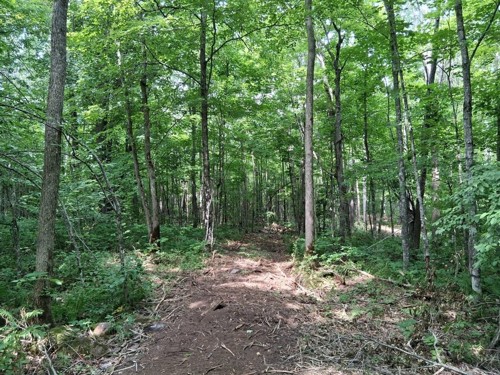 Picture 7
