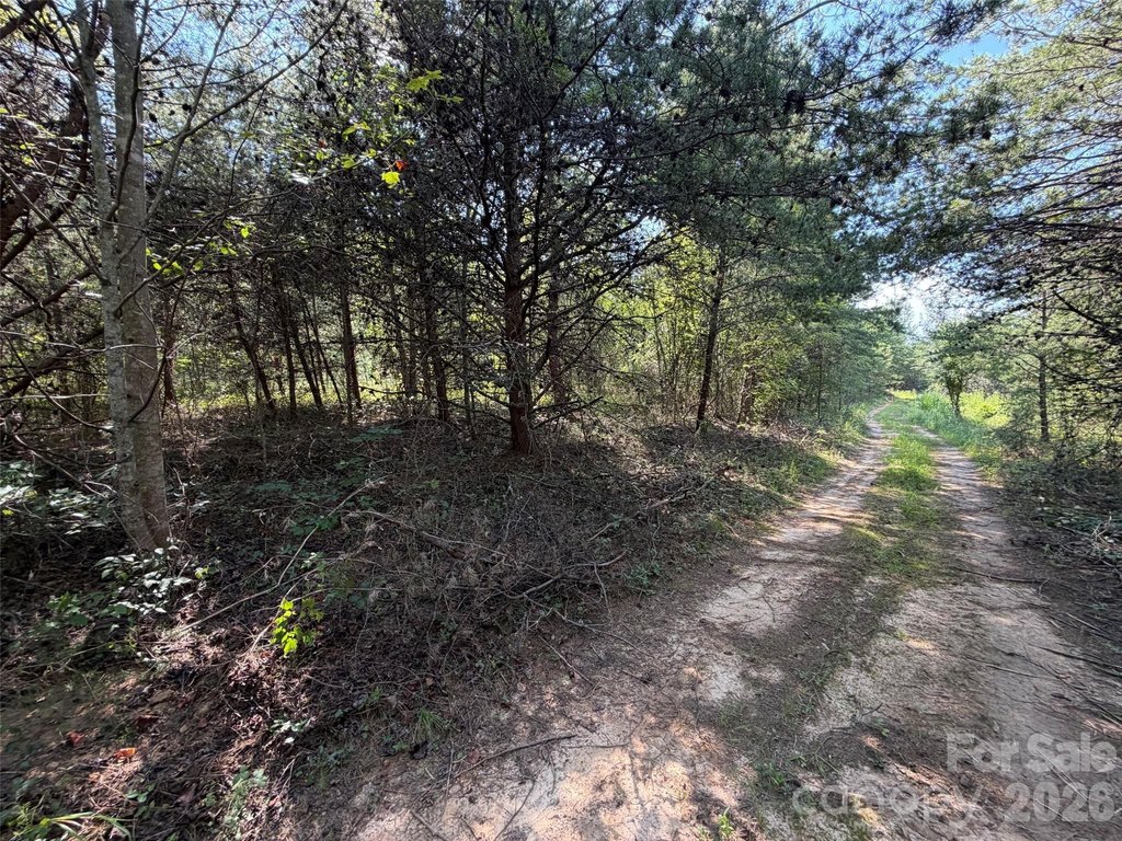 Picture 36