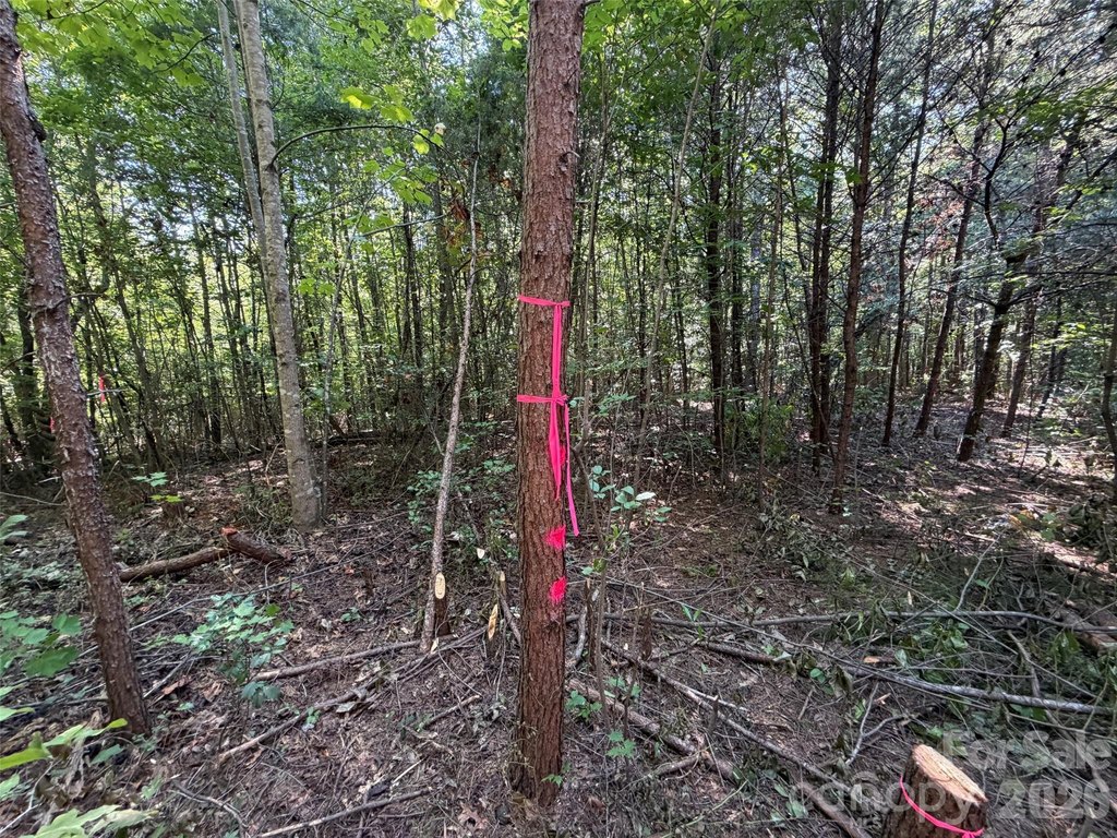 Picture 46