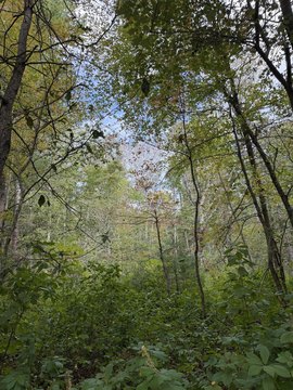 Land, Lakeville, MA