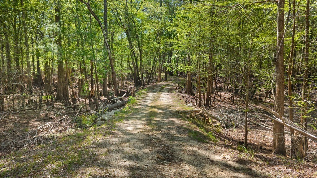 Picture 16