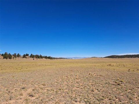 Land, HARTSEL, CO