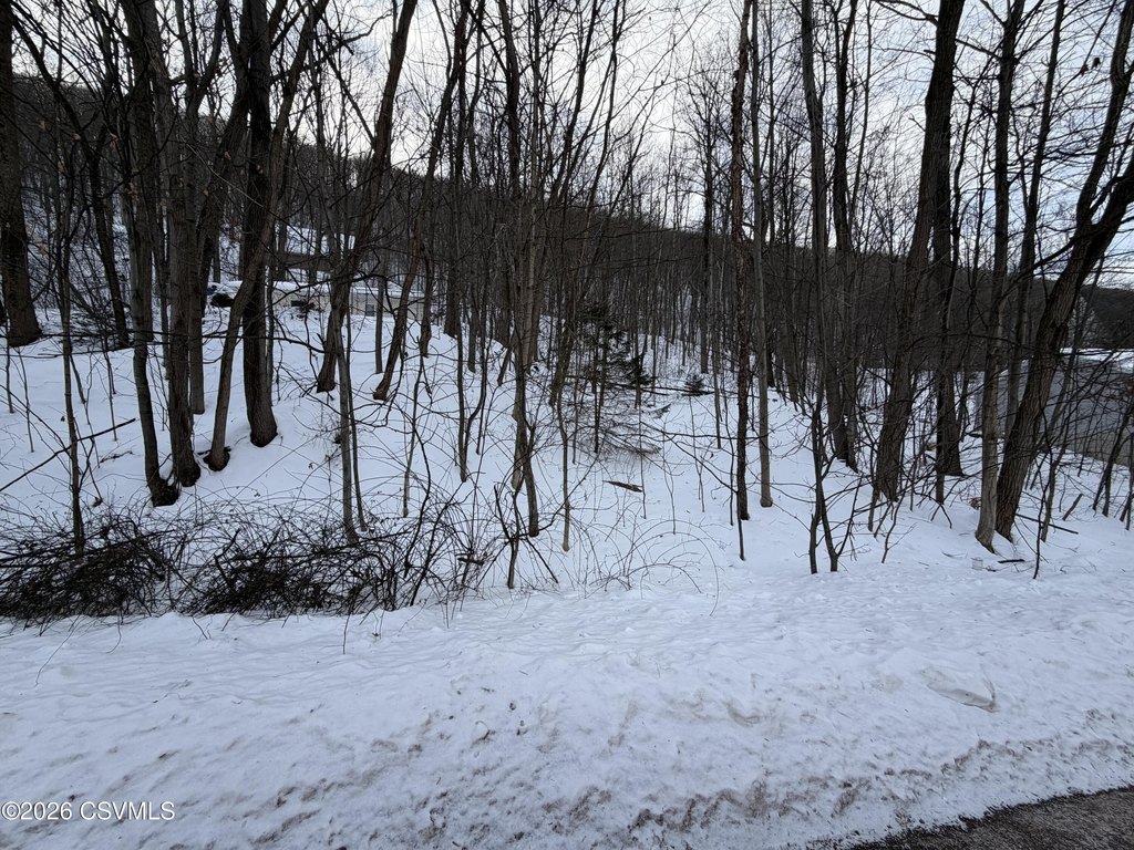 Picture 3