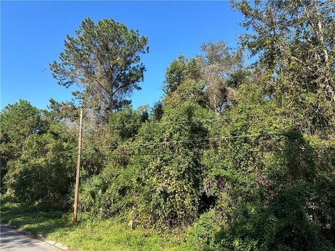 Waycross Land For Sale