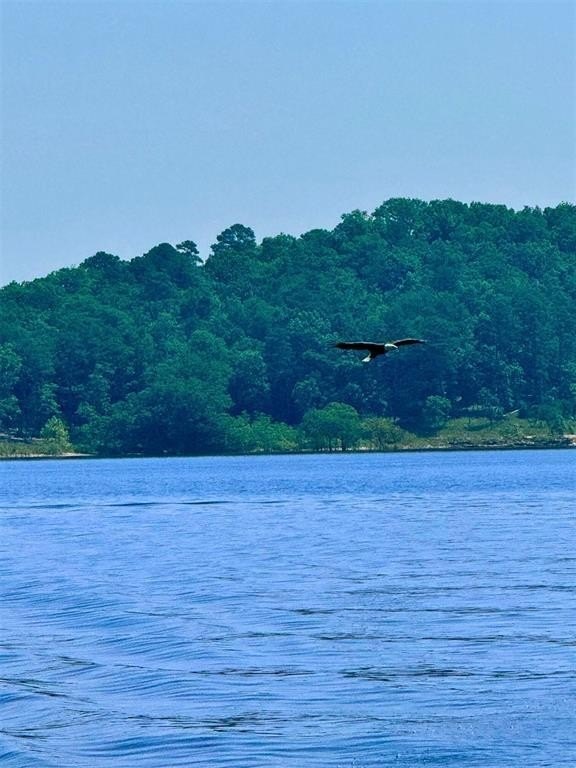 Picture 4