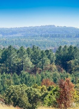 LAND - Broken Bow, OK