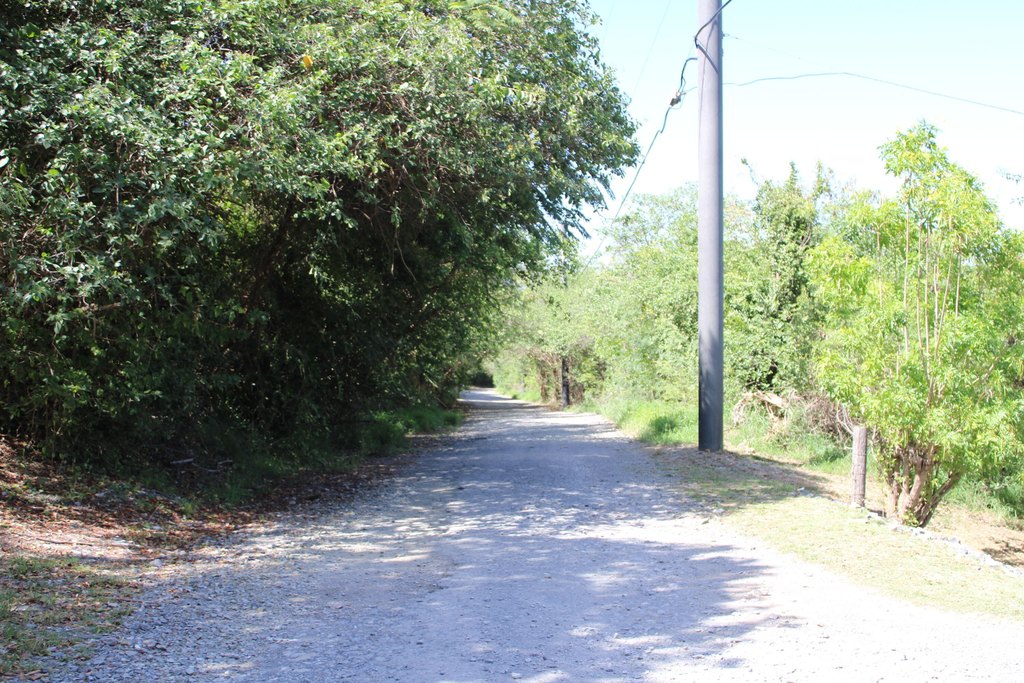 Picture 5