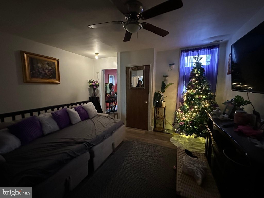 Picture 15