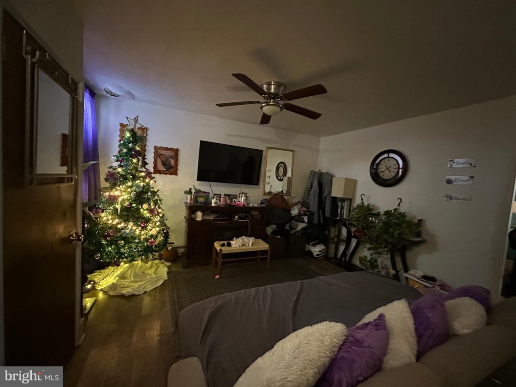 Picture 14