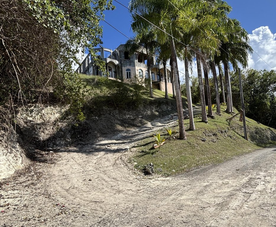 Picture 7