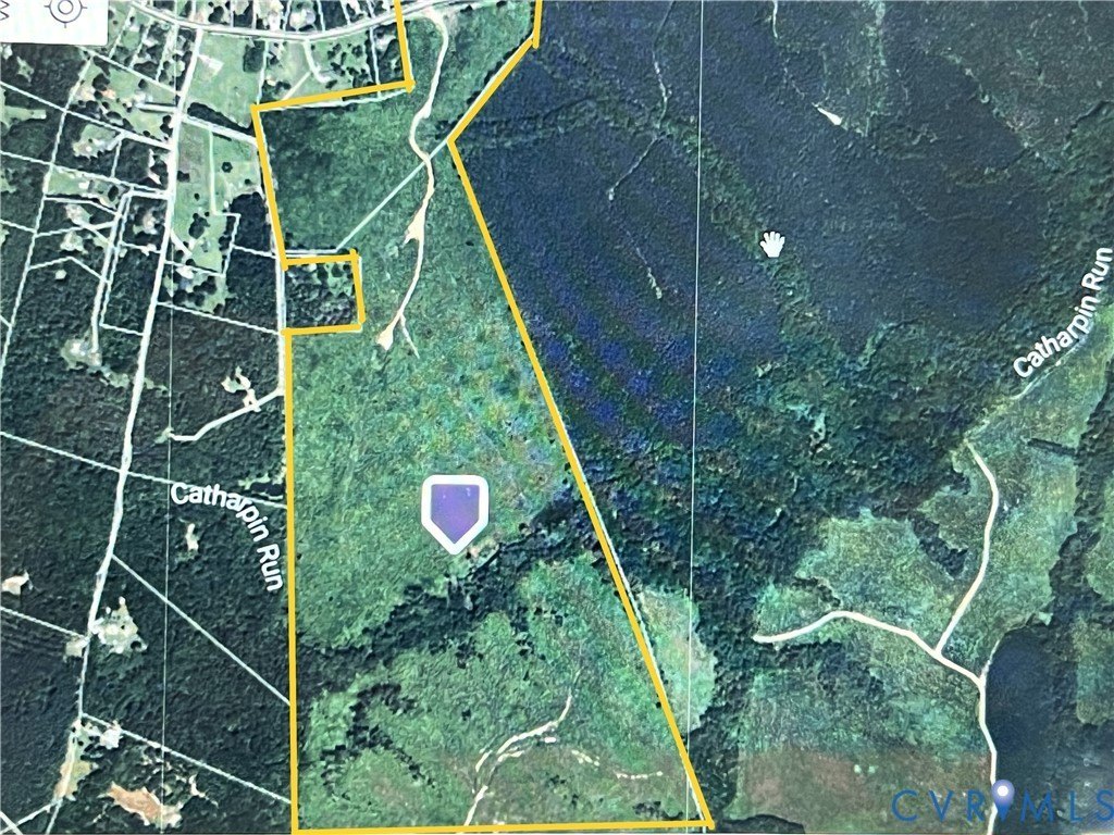 228 Acres of Wooded Land