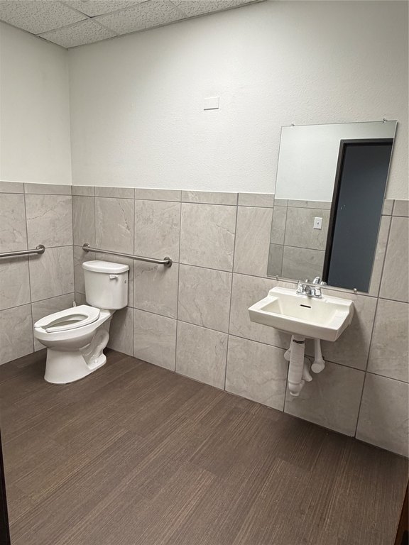 Picture 11