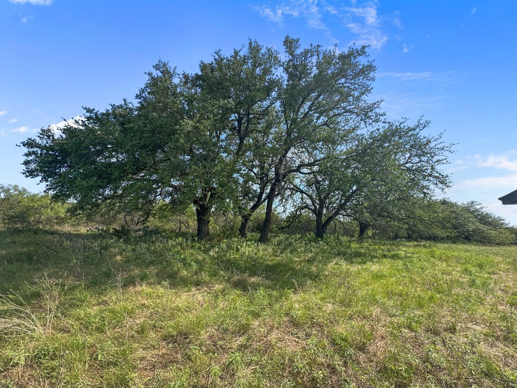 Picture 26