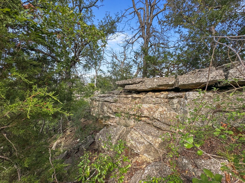 Picture 31