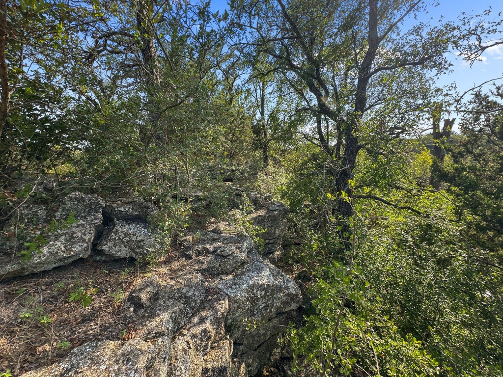 Picture 30