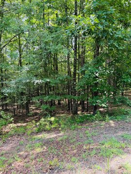 LAND - Heber Springs, AR