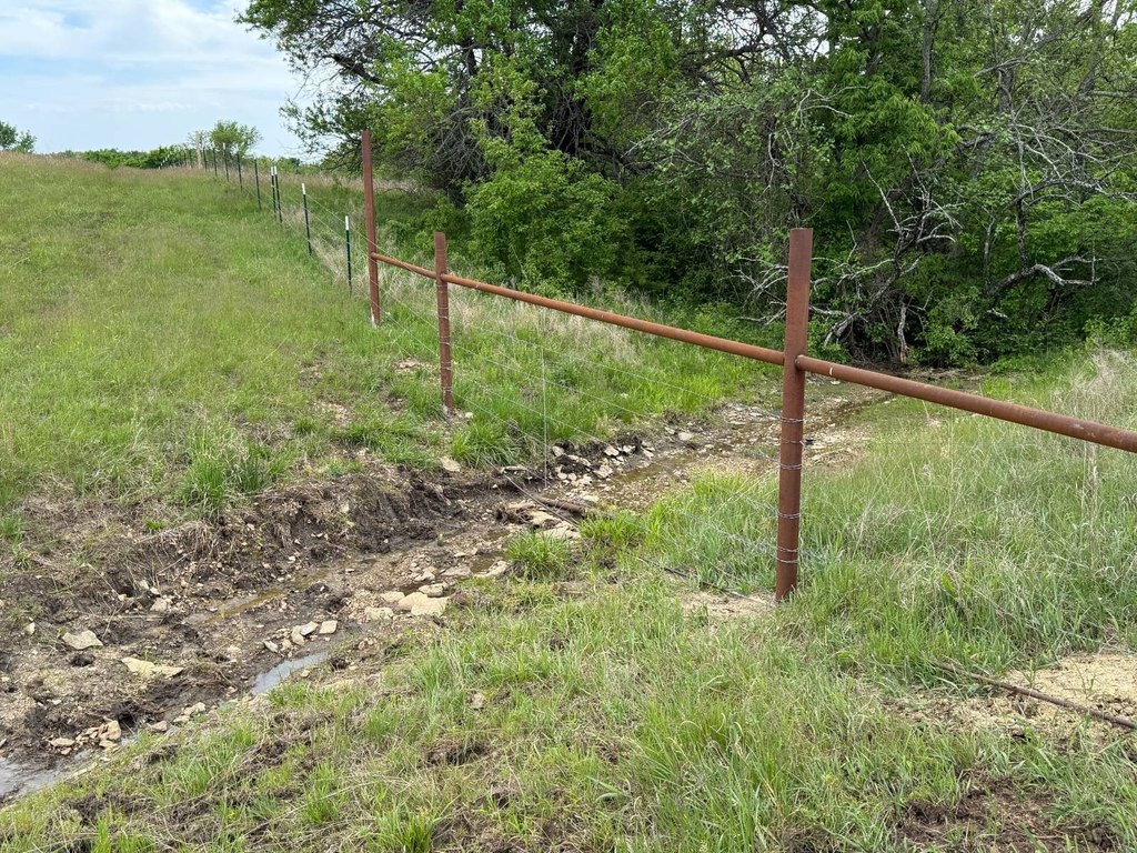 Picture 11