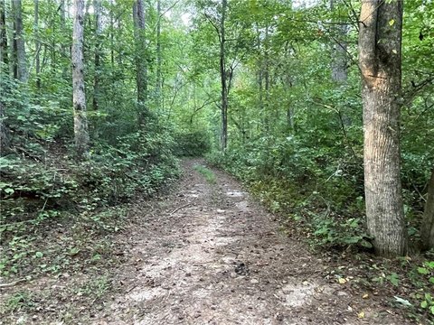 Dawsonville Acreage: Creekside Lot
