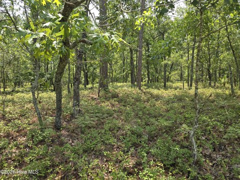 LAND - Grantsboro, NC
