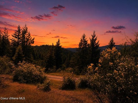 Wooded Recreational Land Parcel